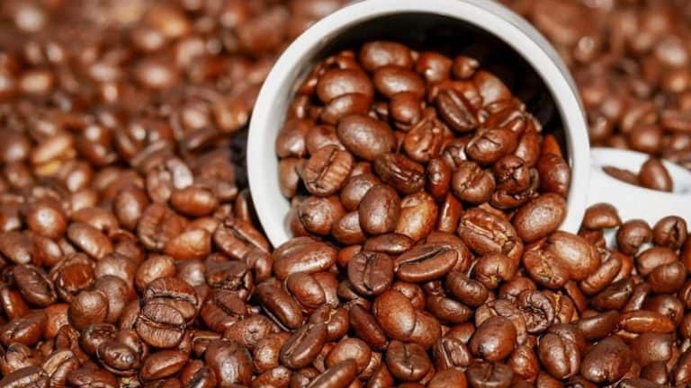 Cafeína para pre-entreno del gimnasio