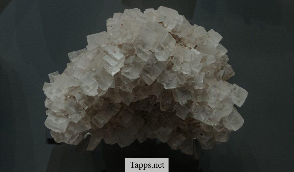Tipos de magnesio y cuales son sus beneficios