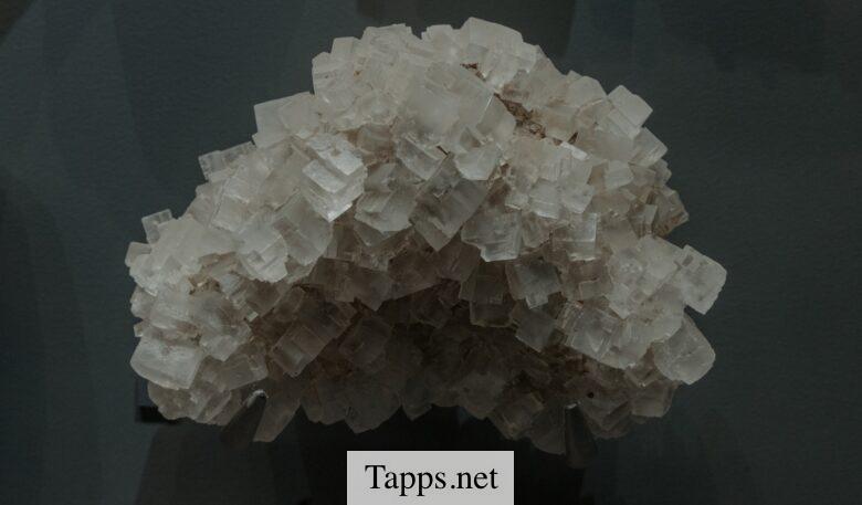 Tipos de magnesio y cuales son sus beneficios